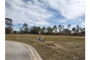 6400 180 CIRCLE, DUNNELLON, FL 34432 - MLS#MFRGC518581