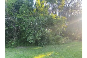 NE 10TH STREET, WILLISTON, FL 32696 - MLS#MFRGC520632