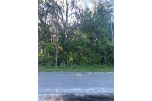 NE 10TH STREET, WILLISTON, FL 32696 - MLS#MFRGC520632