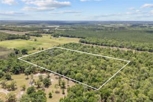 NONE, NEWBERRY, FL 32669 Sold 04/18/25