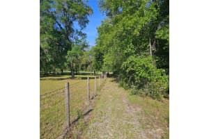 NONE, NEWBERRY, FL 32669 Sold 04/18/25