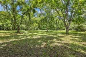 14422 222ND PLACE, ALACHUA, FL 32615 Sold 01/08/25