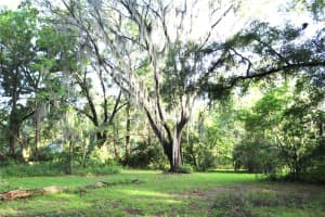 2539 31ST AVENUE, GAINESVILLE, FL 32605 Sold 02/20/25