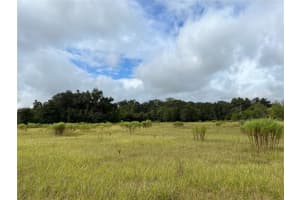 313 NW SR 45, NEWBERRY, FL 32669 Sold 11/04/25