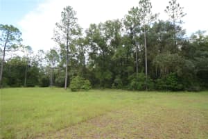 6730 128TH TERRACE, WILLISTON, FL 32696 Sold 02/27/25