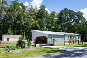 10015 45TH AVENUE, OCALA, FL 34482 Sold 11/01/24