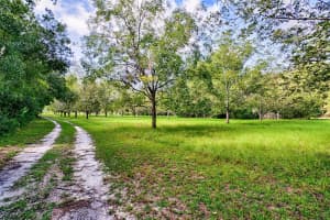 19922 131ST PLACE, ALACHUA, FL 32615 Sold 04/04/25