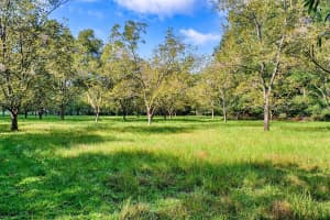 19922 131ST PLACE, ALACHUA, FL 32615 Sold 04/04/25