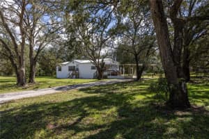 13960 9TH STREET, WILLISTON, FL 32696 Sold 11/26/24