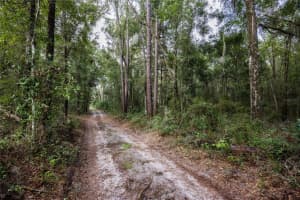 0 175TH AVENUE, WILLISTON, FL 32696 Sold 10/03/25