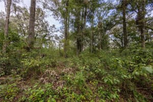 0 175TH AVENUE, WILLISTON, FL 32696 Sold 10/03/25