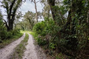 0 175TH AVENUE, WILLISTON, FL 32696 Sold 10/03/25