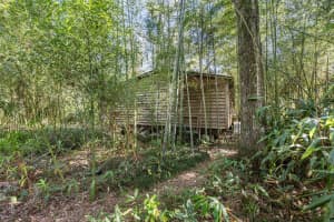 18407 188TH STREET, ARCHER, FL 32618 Sold 05/08/25