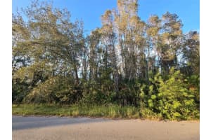 3402 39TH ST SW, LEHIGH ACRES, FL 33976 - MLS#MFRGC525885