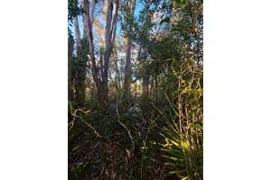 3402 39TH ST SW, LEHIGH ACRES, FL 33976 - MLS#MFRGC525885