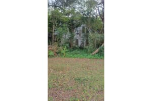 2031 NE HIGHWAY 41, WILLISTON, FL 32696 - MLS#MFRGC525901