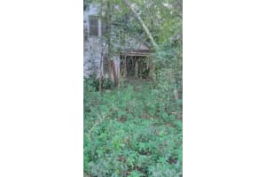 2031 NE HIGHWAY 41, WILLISTON, FL 32696 - MLS#MFRGC525901