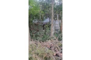2031 NE HIGHWAY 41, WILLISTON, FL 32696 - MLS#MFRGC525901