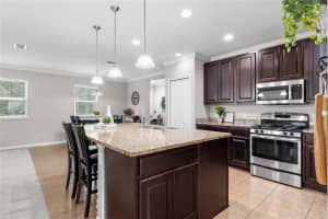 1076 233 DRIVE, NEWBERRY, FL 32669 Sold 01/17/25