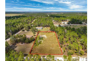 000 8TH STREET, WILLISTON, FL 32696 Sold 11/13/24