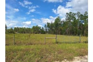 000 8TH STREET, WILLISTON, FL 32696 Sold 11/13/24