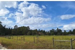 000 8TH STREET, WILLISTON, FL 32696 Sold 11/13/24