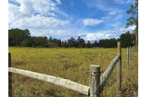 000 8TH STREET, WILLISTON, FL 32696 Sold 11/13/24