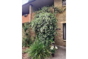 4332 67TH TERRACE, GAINESVILLE, FL 32608 Sold 01/27/25