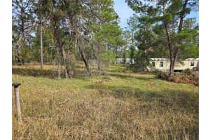 751 131ST AVENUE, WILLISTON, FL 32696 Sold 03/14/25