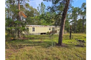 751 131ST AVENUE, WILLISTON, FL 32696 Sold 03/14/25