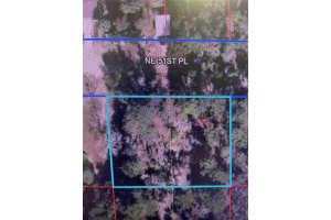 000 51ST PLACE, WILLISTON, FL 32696 - MLS#MFRGC526639