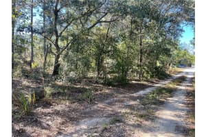 000 51ST PLACE, WILLISTON, FL 32696 - MLS#MFRGC526639