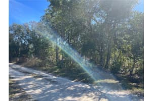 000 51ST PLACE, WILLISTON, FL 32696 - MLS#MFRGC526639