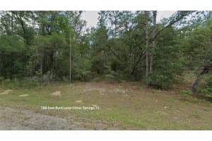 788 BYRD LOOP, DUNNELLON, FL 34434 Sold 03/11/25