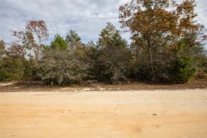 7603 SAND DUNE COURT, KEYSTONE HEIGHTS, FL 32656 Sold 05/19/25