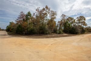 7603 SAND DUNE COURT, KEYSTONE HEIGHTS, FL 32656 Sold 05/19/25