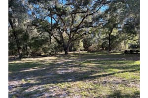 12003 225TH DRIVE, HAWTHORNE, FL 32640 - MLS#MFRGC526855