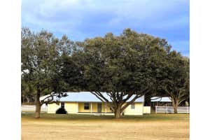 9811 NW 171 TERR, ALACHUA, FL 32615 Sold 02/27/25