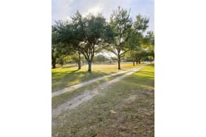 9811 NW 171 TERR, ALACHUA, FL 32615 Sold 02/27/25