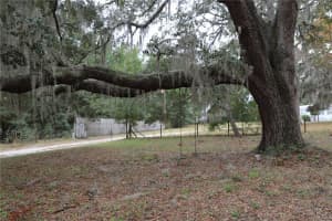 6838 BIG SKY LANE, MELROSE, FL 32666 Sold 10/22/25