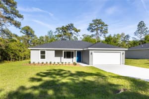 8873 Sw 139th Place Rd, OCALA