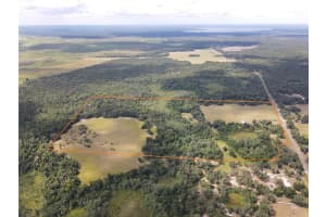 11810 SE COUNTY ROAD 234, MICANOPY, FL 32667 - MLS#MFRGC527324