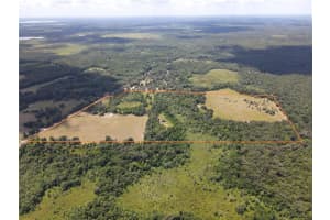 11810 SE COUNTY ROAD 234, MICANOPY, FL 32667 - MLS#MFRGC527324