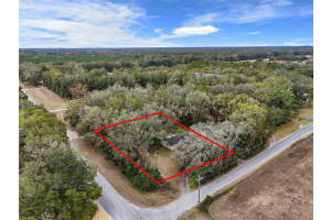 20217 138TH AVENUE, HIGH SPRINGS, FL 32643 Sold 03/21/25