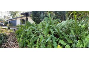 3541 35TH PLACE, GAINESVILLE, FL 32605 Sold 02/14/25