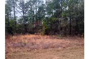 7372 MALTESE DRIVE, CITRUS SPRINGS, FL 34433 Sold 08/25/25