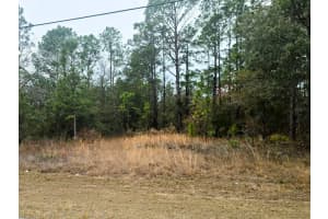 7372 MALTESE DRIVE, CITRUS SPRINGS, FL 34433 Sold 08/25/25