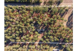 17874 282ND LANE, ALACHUA, FL 32615 Sold 04/18/25