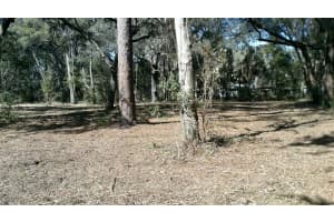 1605 24TH STREET, GAINESVILLE, FL 32641 Sold 03/20/25