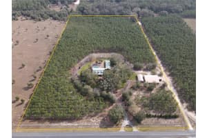 272 NE COUNTY ROAD 337, TRENTON, FL 32693 - MLS#MFRGC528331